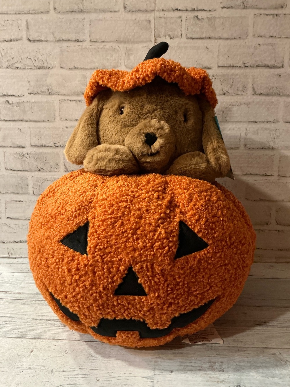 HUMANE SOCIETY 21x18 peek a boo halloween dog pillow